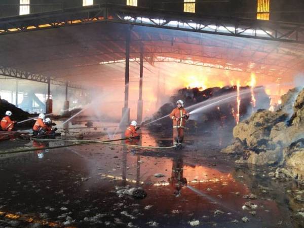 Api marak di kilang memproses isi tilam dipercayai berpunca daripada nyalaan api di timbunan hampas sawit.