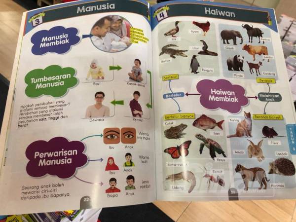 Kandungan buku Riversi Grafik Genius Sains untuk Tahun 1,2 dan 3 yang sangat menarik untuk dijadikan rujukan anak-anak.