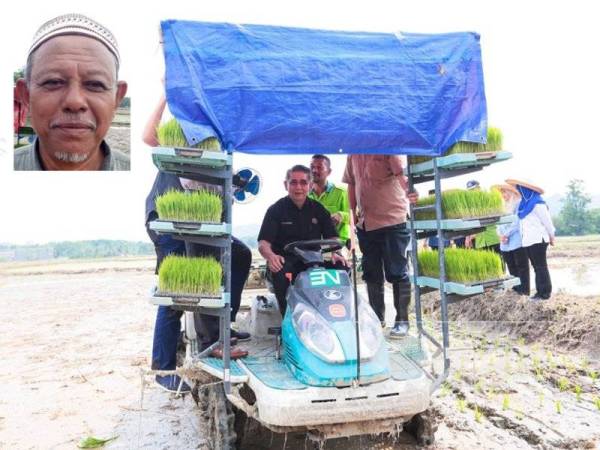 Salahuddin menyempurnakan gimik proses penyemaian benih padi pulut jenis siding di Kampung Ayer Hangat. Gambar kecil: Mohd Zuki