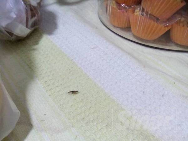 Charlie yang dilihat di atas meja makan di kediaman Firman.