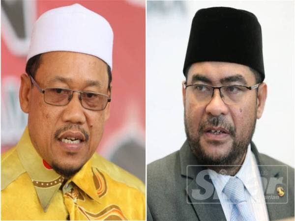 Che Abdullah (kiti), Dr Mujahid Yusof