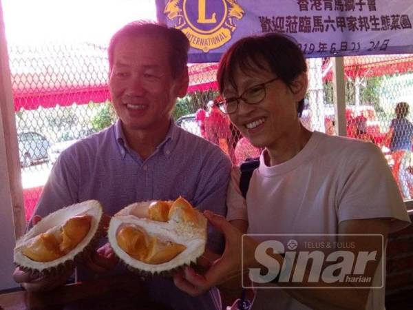 Kim Kong menunjukkan buah durian organik yang kuning dan sedap.