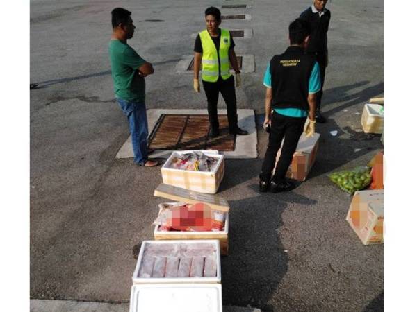 Anggota penguatkuasa Maqis meninjau keadaan produl hasilan babi yang dirampas.