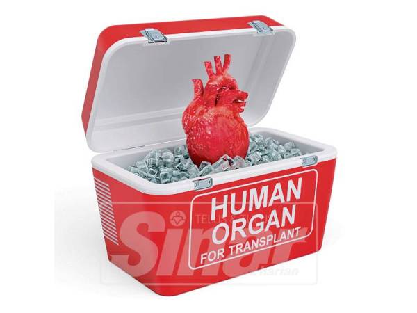 INOVASI itu memberi manfaat kepada sektor bio perubatan dengan mengekalkan kualiti organ untuk pemindahan melalui mengekalkan kesegaran semasa proses pengangkutan organ.