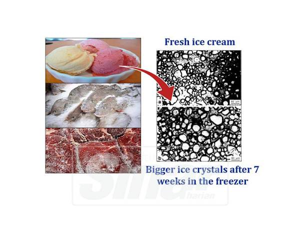 CONTOH aplikasi menunjukkan ketulan ais yang kasar boleh merosakkan sel pada makanan dan organ dalaman.