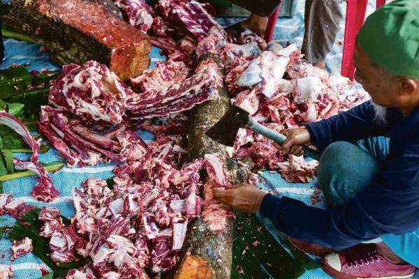 IBADAH korban merupakan syiar yang tidak wajar disembunyikan kerana ia merupakan amalan yang mengagungkan ALLAH SWT.