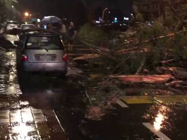 Banyak pokok tumbang akibat kejadian ribut di Langkawi.
