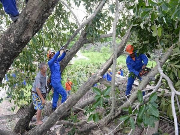 Anggota Angkatan Pertahanan Awam (APM) memotong dahan pokok yang tumbang diatas bumbung sebuah rumah penduduk dalam kejadian ribut yang melanda Kedah di Jalan Pegawai hari ini. - Foto Bernama
