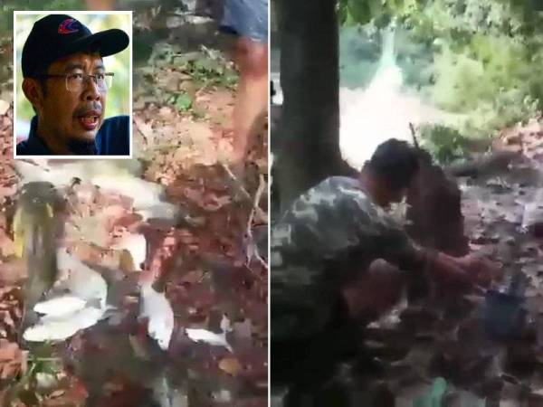 Hasil tangkapan yang diperolehi. Gambar kanan: Gambar yang menunjukkan aktiviti letupan dilakukan oleh beberapa individu di sungai di sebuah sungai dalam hutan. (Gambar kecil: Azahari)