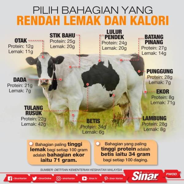 lembu