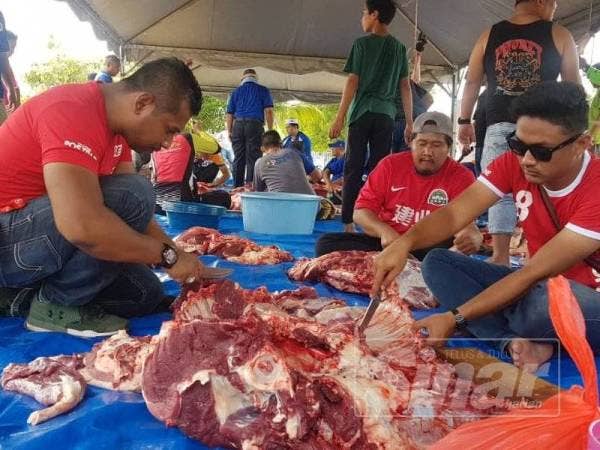 Mohd Hashrul memotong daging sebelum ia diagihkan kepada masyarakat setempat.