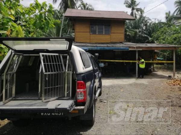 Wanita warga emas ditemui mati selepas ditetak kumpulan lelaki bertopeng di rumahnya di Kampung Tebuk Pulai di sini Isnin lalu.