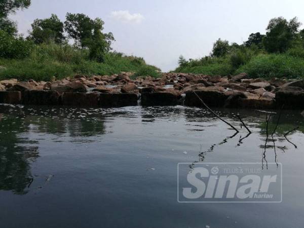 Air mengalir masuk ke hulu Sungai Daing menyebabkan permukaan air berbuih.