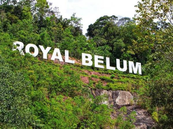 Bongkar Misteri Royal Belum Hutan Tertua Dunia