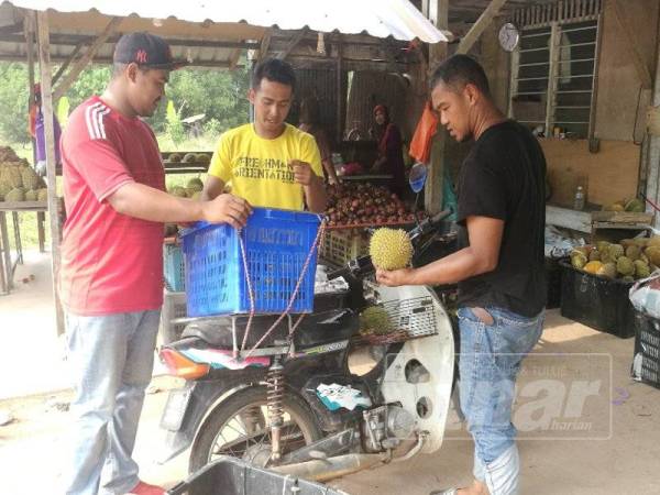 Noraini (tengah) menghantar durian ke gerai Aziz di Jalan Penerok-Kukup.