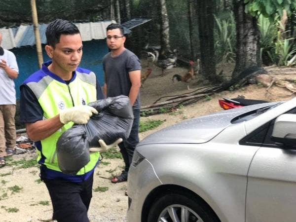 Polis membawa keluar mayat bayi lelaki yang dipercayai dihanyutkan di Sungai Dipang berhampiran Kampung Sahom untuk dibawa ke HRPB.