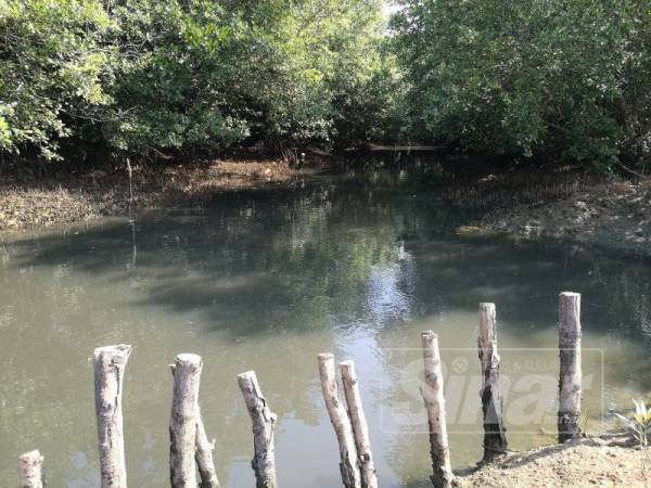 Keadaan air sungai yang kotor dan berbau di sekitar kawasan perindustrian.