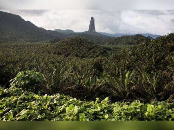 Sao Tome and Principe - Foto AFP/Getty Images