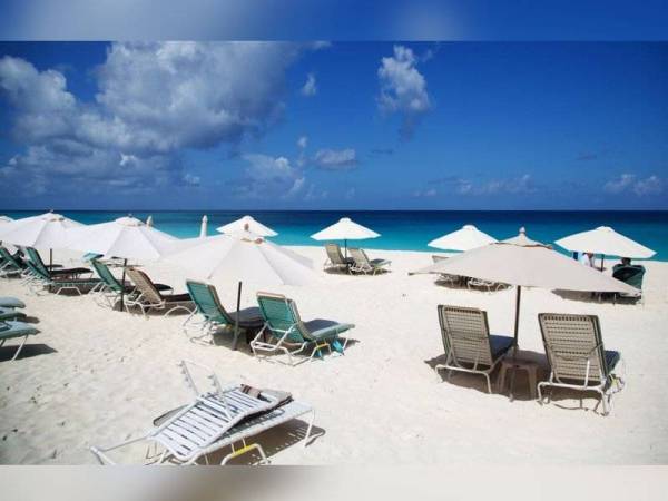 Anguila - Foto AFP/Getty Images