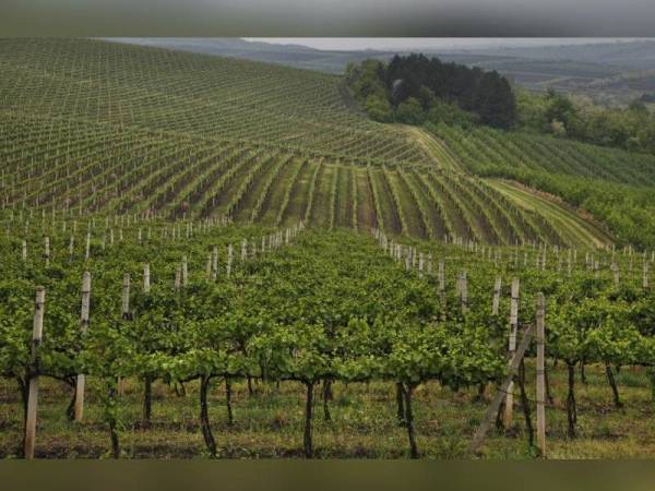 Moldova - Foto Redux