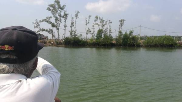 Pak Din menunjukkan tebing sungai yang dahulunya dipenuhi pokok nipah dan bakau.