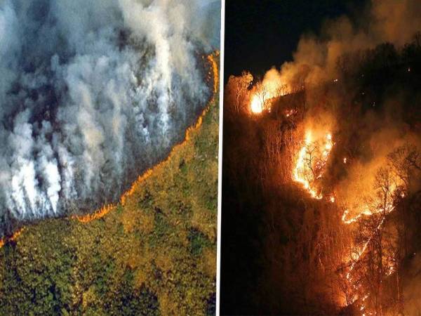 Kebakaran Amazon Apa Yang Perlu Anda Tahu