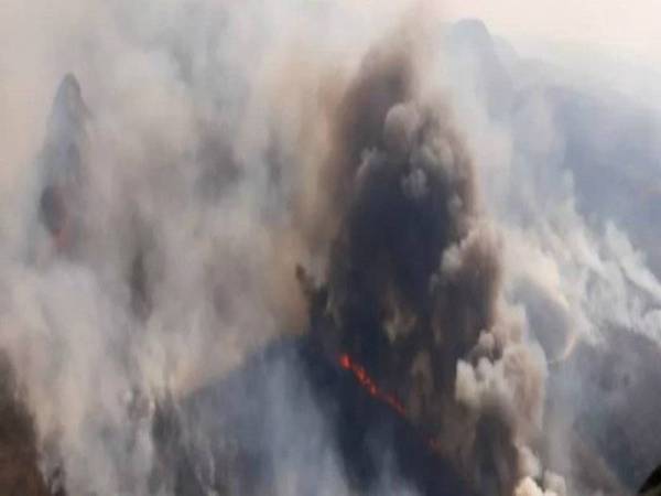 Kebakaran itu merebak secara tidak terkawal di hutan kering tropika Chiquitano selepas tujuan asal untuk membersihkan kawasan pertanian