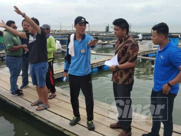 Wakil Jabatan Perikanan Negeri Perak berbincang dengan sebahagian pengusaha ternakan ikan sangkar di Perairan Tanjung Piandang, Parit Buntar yang mengalami kerugian lebih RM2 juta sejak malam semalam akibat ikan ternakan mati.