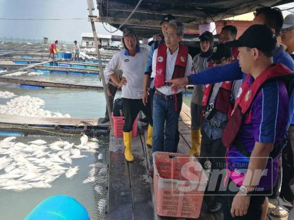Abdul Yunus (kanan) meninjau keadaan di kolam penternakan ikan sangkar di perairan Tanjung Piandang, Parit Buntar sambil diiringi Zaki (tiga dari kiri).