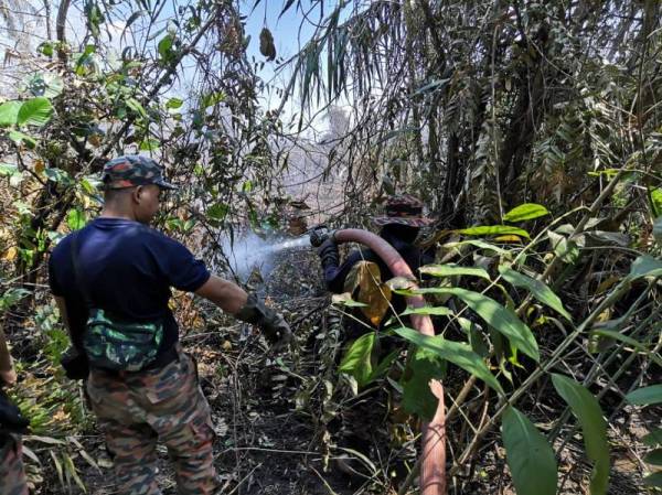 Operasi yang masuk hari ke-12 terus dijalankan bagi mengelak kebakaran merebak. - Foto: JBPM JOHOR