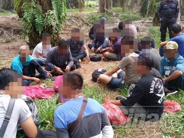 Seramai 22 warga Indonesia ditemui sedang berkumpul di kawasan belukar di sebuah ladang Pulau Carey, Telong Panglima Garang semalam.