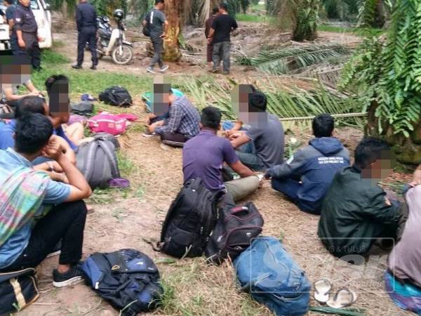 Seramai 22 warga Indonesia ditemui sedang berkumpul di kawasan belukar di sebuah ladang Pulau Carey, Telong Panglima Garang semalam.
