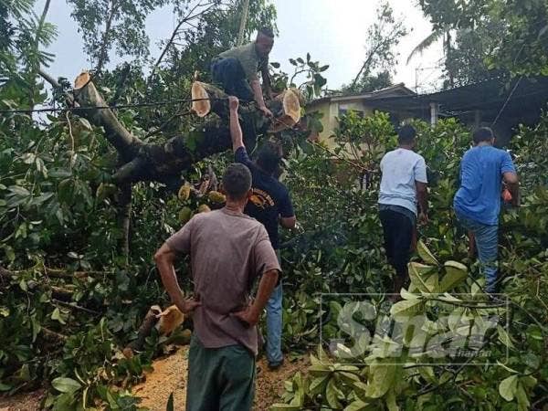 Penduduk kampung bergotong-royong menebang pokok tumbang.