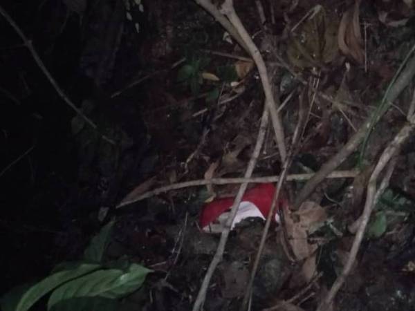 GRO sanggup bersembunyi di belukar bagi mengelakkan ditahan Imigresen. - Foto Imigresen
