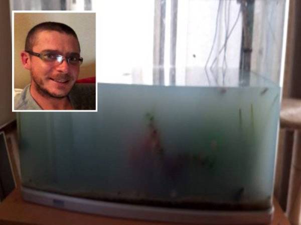 Benjamin Avill menuang sebotol pelembut pakaian ke dalam akuarium dipenuhi ikan. - Foto BNPS
