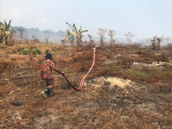 Anggota bomba memadamkan kebakaran tanah gambut di ladang milik Mardi di Pontian.
