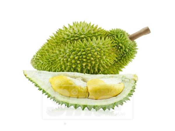 Kalori durian seulas