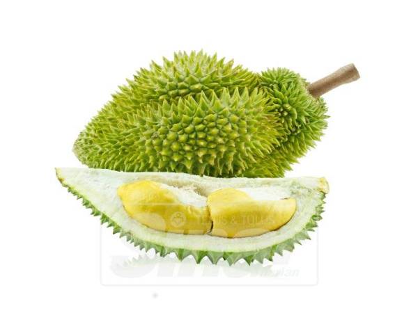 Makanan yang tidak boleh dimakan selepas makan durian