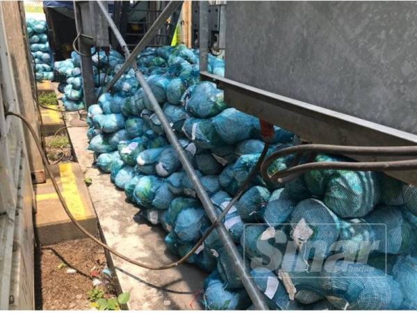 Bungkusan mengandungi hasil pertanian yang dirampas di Pengkalan Kontena Butterworth Utara semalam.