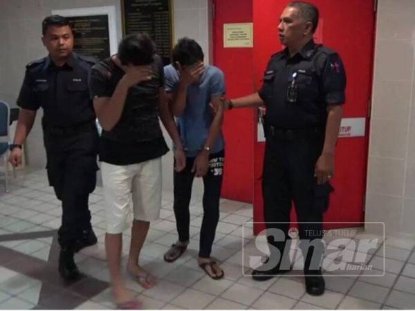 Kedua-dua tertuduh mengaku bersalah melupuskan dua ekor anak kucing Parsi di Mahkamah Majistret Kuala Terengganu semalam.