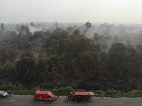 Tinjauan dari udara kebakaran hutan seluas 25 hektar yang berlaku di Kampung STC, Sri Aman sejak tiga hari lalu.  -Foto Bernama