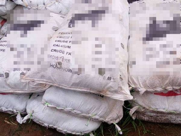 Antara rampasan daun ketum yang dibuat PGA dalam operasi Op Wawasan di sekitar daerah di Perlis baru-baru ini.