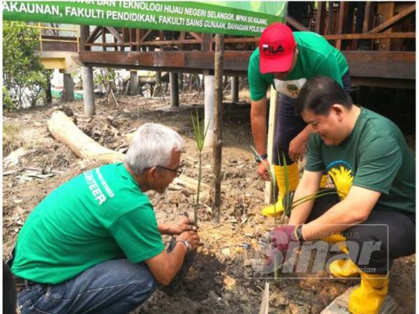 Loy Sian (kanan) menanam pokok sebagai simbolik pada Program Penanaman Pokok Nipah di Jeti Nelayan Kampung Sungai Kajang semalam.