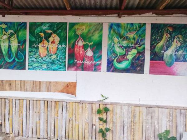 Antara beberapa karya lukisan periuk kera yang mewarnai suasana di galeri milik Zakaria.