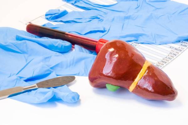 BERAT organ hati dikatakan hanya kira-kira tiga ke lima peratus dari berat tubuh. 