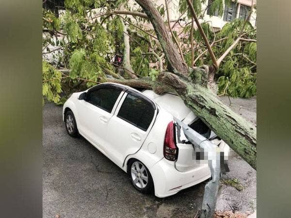 Sebuah kereta rosak ditimpa pokok dan tiang lampu di Taman Sri Pinang.