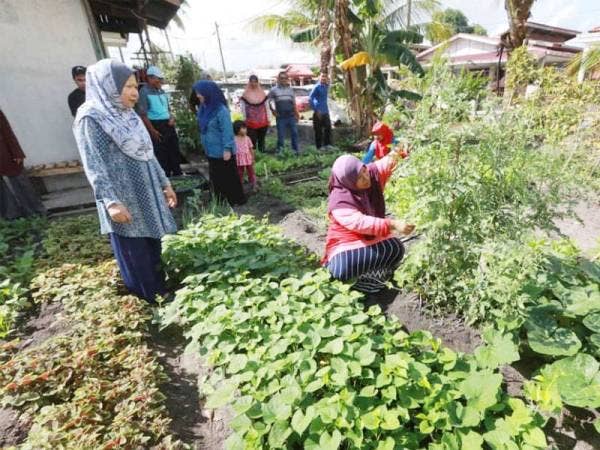 Siti Radhiah (kanan) melayan pelanggan yang ingin mendapatkan sayur organik di kebunnya di Taman Seri Maulana.