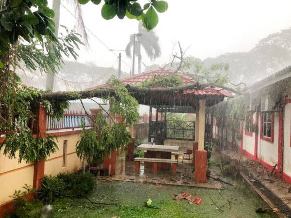 Kejadian pokok tumbang di Wisma Felcra petang tadi. -Foto JBPM KL