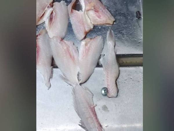 Ikan yang dipotong menggunakan mesin inovasi Itu.