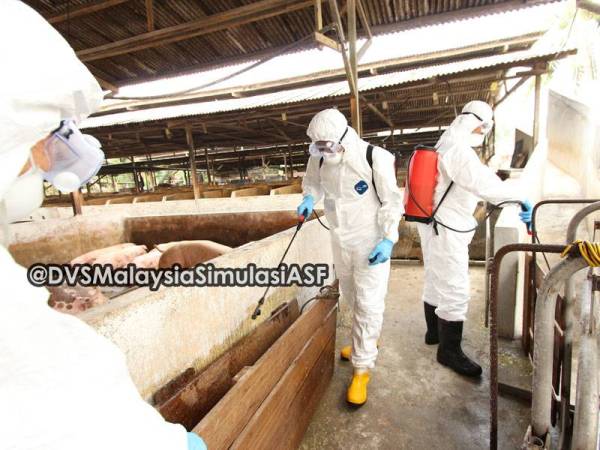 Salah satu aktiviti simulasi yang dijalankan ialah program disinfectant di ladang.